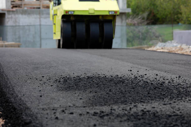 Best Professional Driveway Pavers  in Brooksville, MS